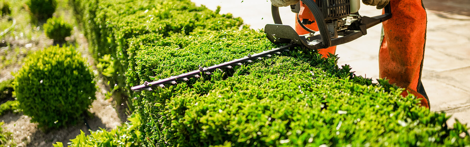 © Carbonero Stock - stock.adobe.com © Carbonero Stock - stock.adobe.com