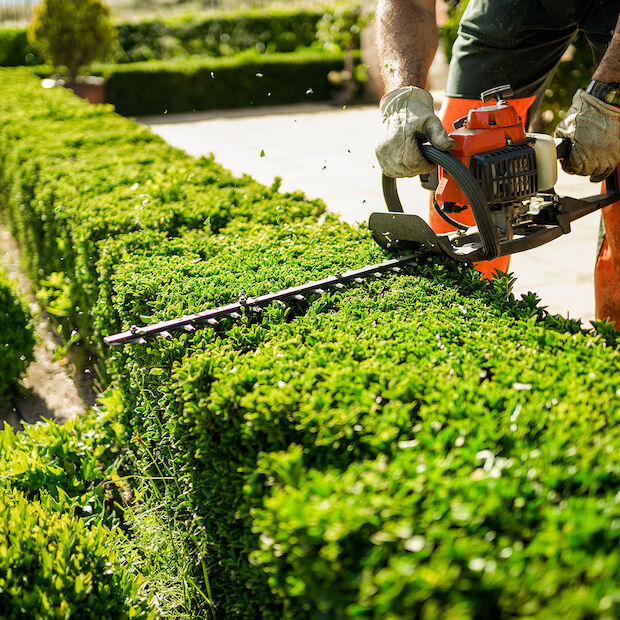© Carbonero Stock - stock.adobe.com Gartenpflege